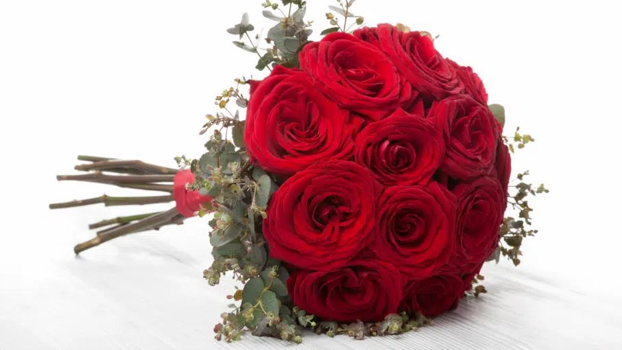 50 Red Roses, Red Naomi Rose Bouquet, Certified B Corp