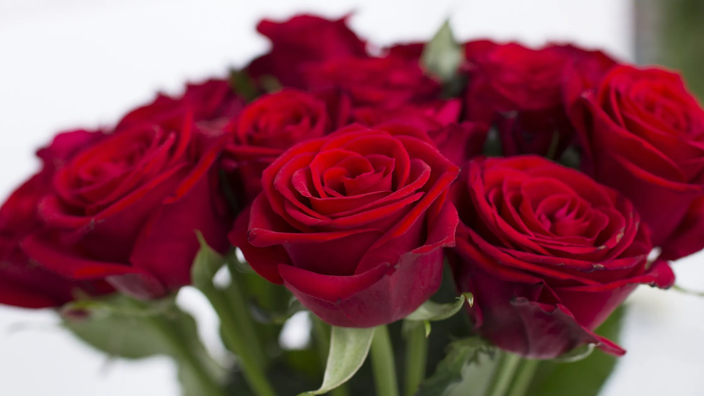 Red Naomi rose bouquet