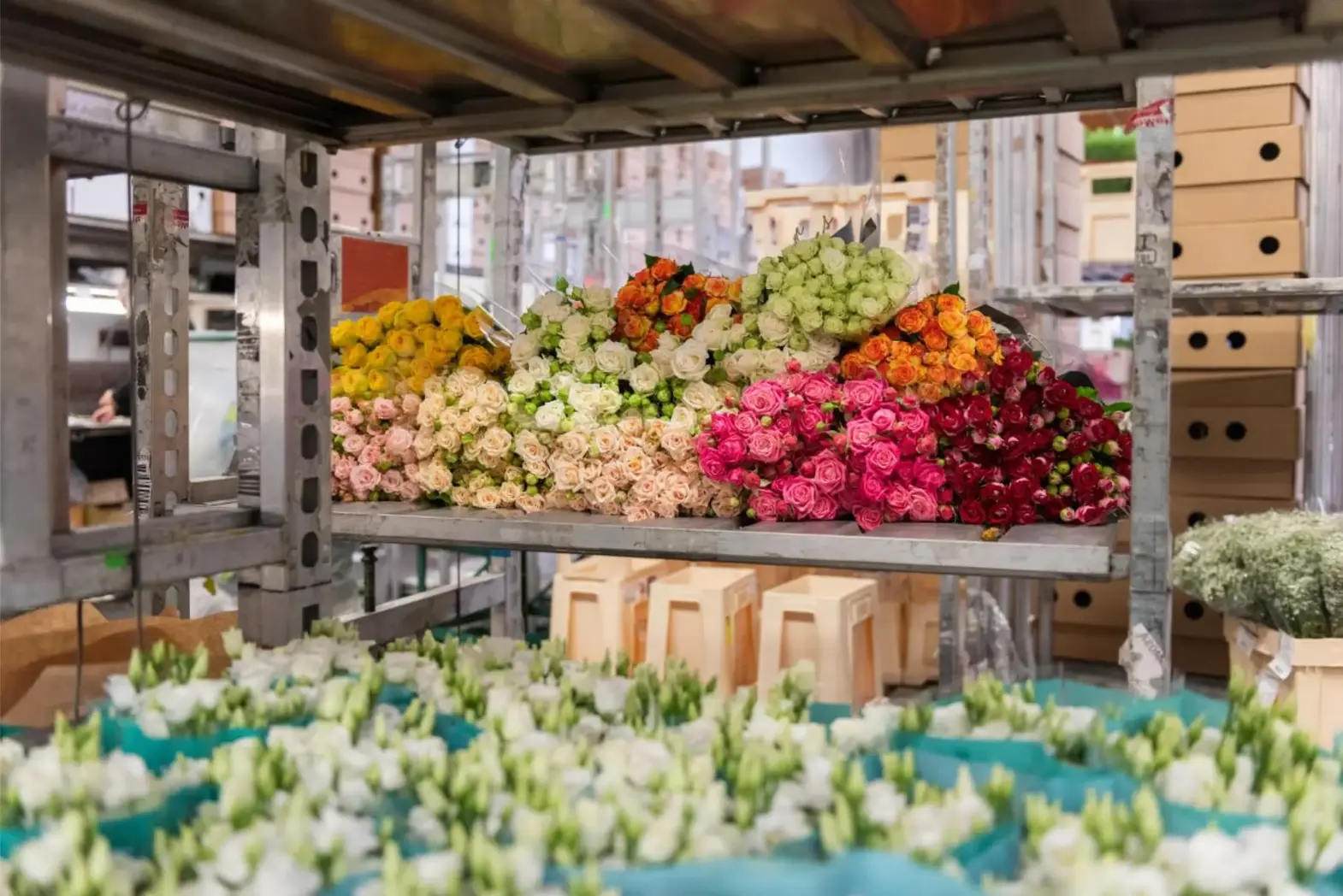 Grossiste en fleurs coupées