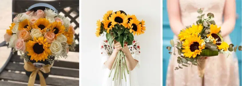 Kauf von Sonnenblumen im Großhandel